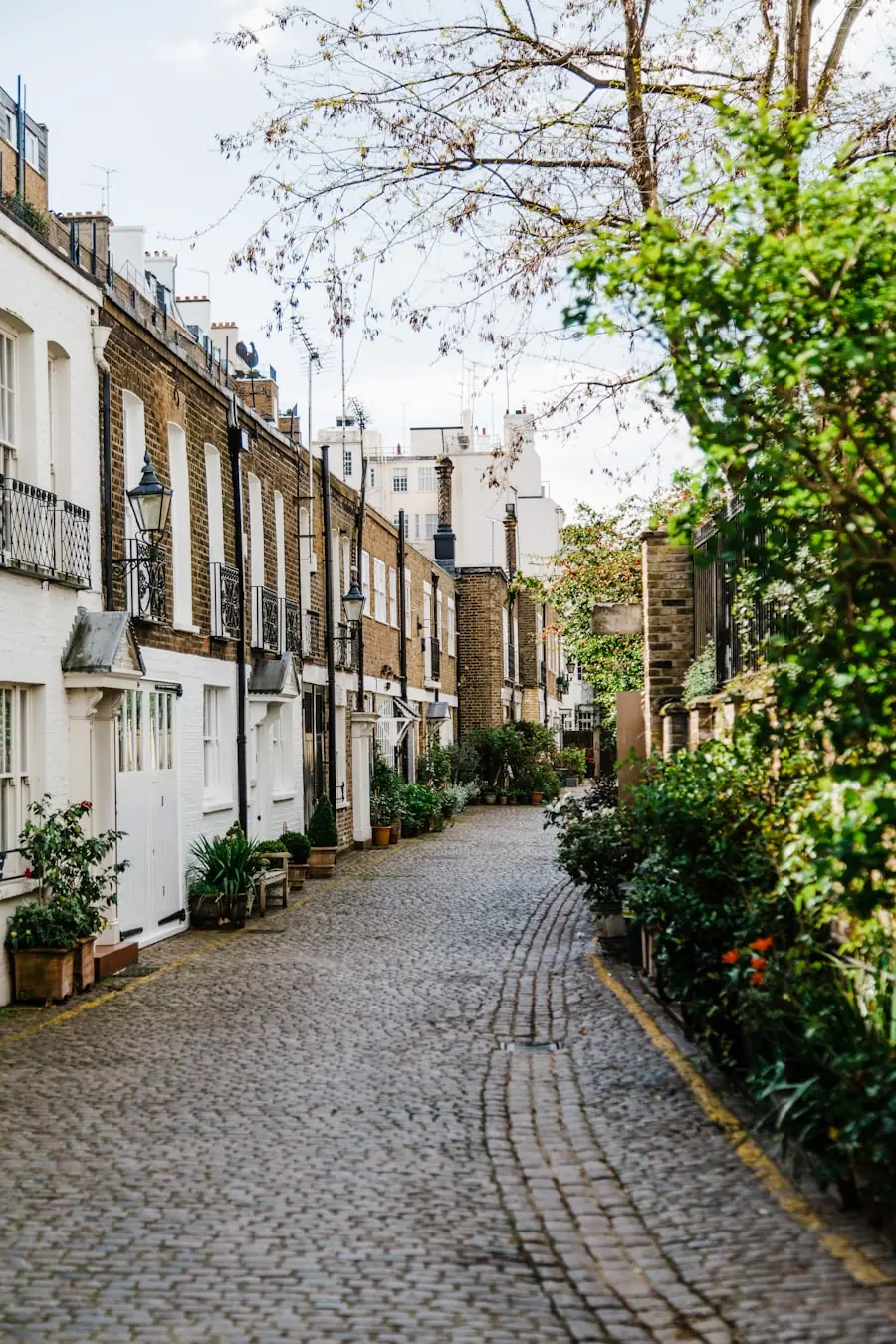 A cobbled London mews with painted brick townhouses